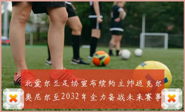 北爱尔兰足协宣布续约主帅迈克尔奥尼尔至2032年全力备战未来赛事