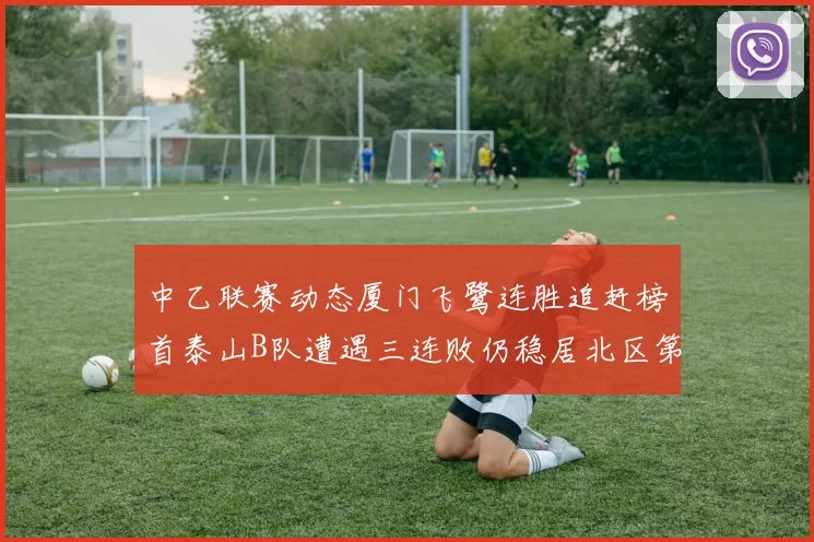 中乙联赛动态厦门飞鹭连胜追赶榜首泰山B队遭遇三连败仍稳居北区第三