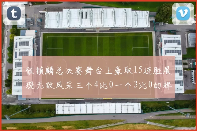 张镇麟总决赛舞台上豪取15连胜展现无敌风采三个4比0一个3比0的辉煌战绩
